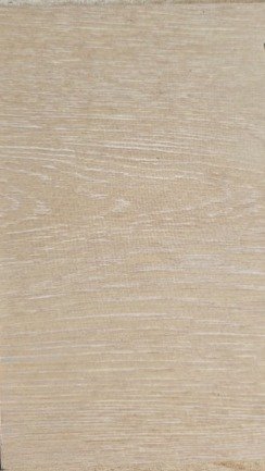 WhatsApp Image 2025-11-10 at 11.18